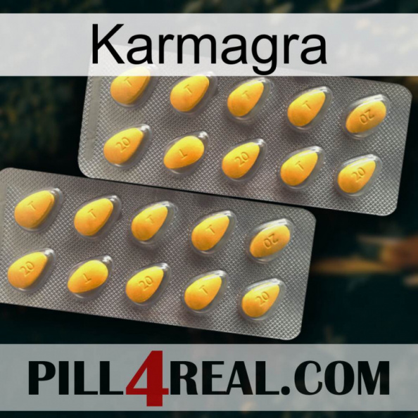 Karmagra cialis2.jpg